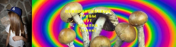 марки lsd Абаза