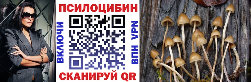 купить наркотики цена  Судогда  Псилоцибиновые грибы прущие грибы 